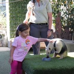 2025 Oct 12 Elise Girard 4th Birthday